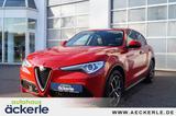 Alfa Romeo Stelvio Business Q4 I Winter,-Assistenz,-Komfort - Alfa Romeo aus 2020