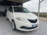 Lancia Ypsilon 1.2 69 CV 5 porte Silver - weiße Lancia Ypsilon