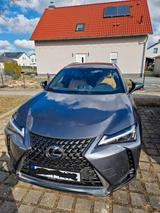 Lexus UX 250h Style Edition Style Edition - Lexus UX aus 2023