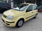 Fiat Panda 1.2 8V Dynamic - Fiat Panda mit 5 Türen