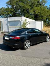 Jaguar XF V6 Diesel 2,7 / Premium Luxury - Jaguar XF: 2.7