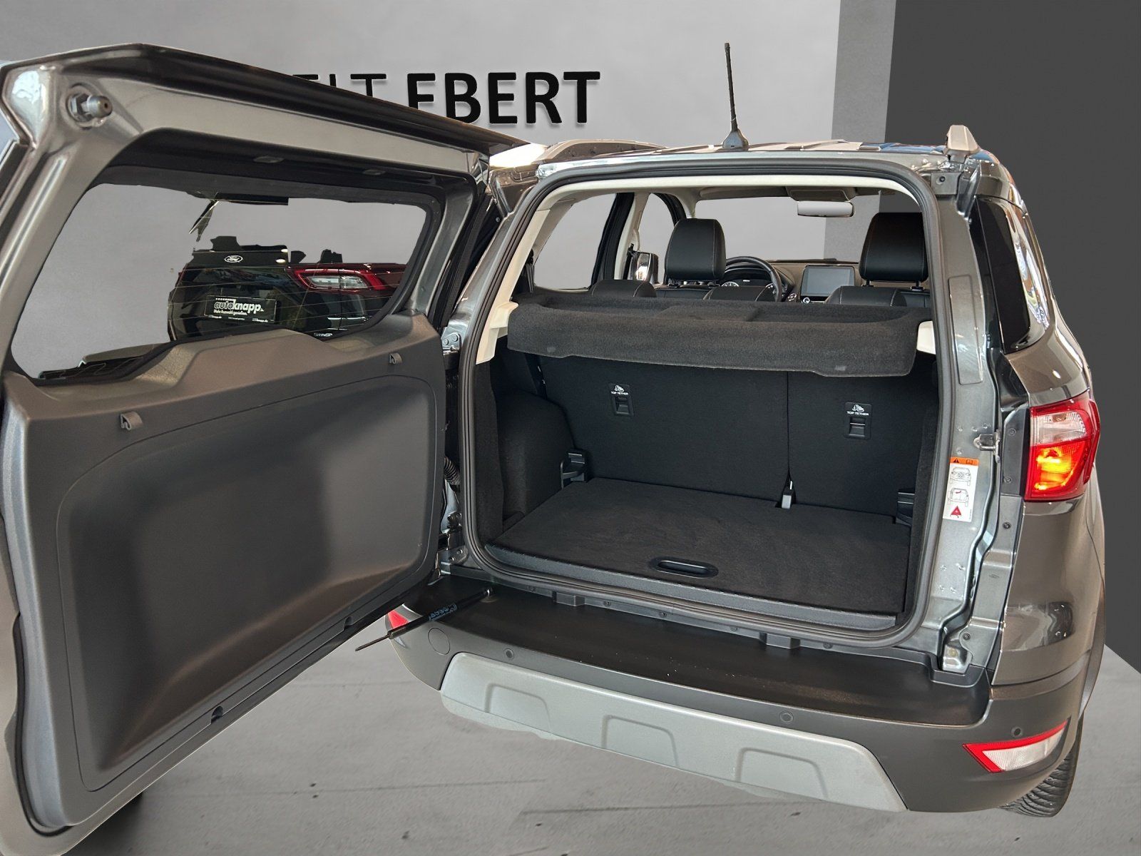 Fahrzeugabbildung Ford EcoSport 1.0 EcoBoost Titanium