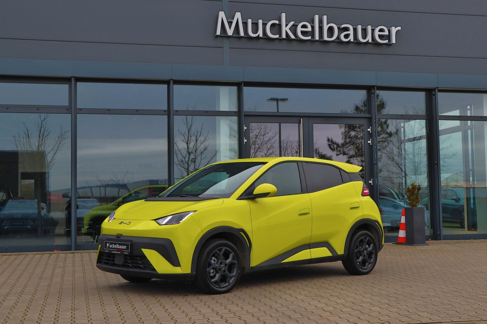 BYD DOLPHIN SURF Comfort 43kWh *Bestellfahrzeug*