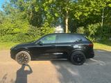 Porsche Cayenne Diesel Platinum Edition Approved - Porsche Gebrauchtwagen in Heidelberg
