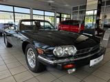 Jaguar XJS 5.3 2- DOOR CONVERTIBLE V12-Zylinder - Jaguar XJS: Cabrio, V12