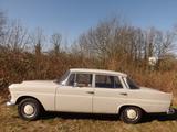 Mercedes-Benz 200 D- gut, günstig und zuverlässig! - Mercedes-Benz Gebrauchtwagen von 1967