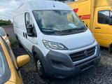 Fiat Ducato*Maxi*Grossr.-Kasten*L5H2*Kamera*AHK*6Gang - Fiat Ducato in Oberhausen