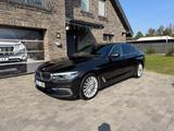 BMW 540i xDrive A Luxury Line - BMW 540: Braun