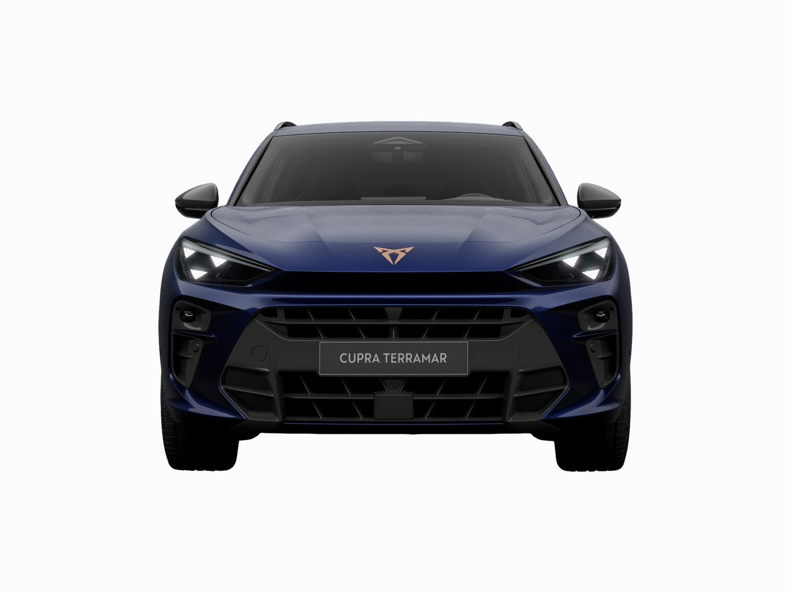Cupra Terramar - Bild 8