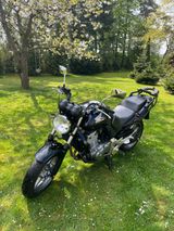 Honda CBF 500  - Offers matching your search criteria