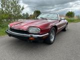 Jaguar XJS V12 Cabrio Original 68.800km Top Oldtimer! - Jaguar Oldtimer: Cabrio