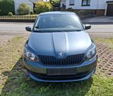 Skoda Fabia 1.2l TSI 66kW Cool Edition Green tec - Skoda Fabia: 1.6