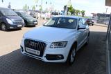 Audi Q5 2.0 TDI Sitzheizung Xenon Tüv Neu - Audi Q5: Weiß