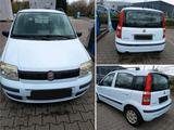 Fiat FIAT PANDA 169 - Fiat Panda in Hagen