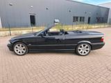 BMW E36 318i Cabrio Last Edition 59700km!! - BMW 318: 318i E36