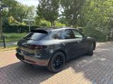 Porsche MACAN GTS, Approved,AHK,PDLS+,Vollausst,s.gepfl - Porsche Macan in Braunschweig