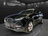 Jaguar E-Pace D200 +Memory+KAMERA+Ambiente+AUT+LED+PDC - Jaguar Gebrauchtwagen