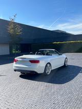 Audi S5 3.0 TFSI S tronic quattro Cabriolet - - Audi S5: Cabrio