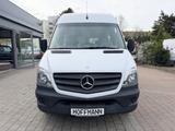Mercedes-Benz Sprinter 313CDI Bus 9-Sitze L2H2 RWD Schwingsitz - 9-Sitzer Kleinbusse
