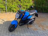 Honda MSX 125 GROM - HONDA MSX