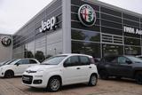 Fiat Panda 1.2 Easy - gebrauchte Fiat Panda aus dem Jahr 2017
