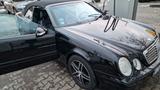 Mercedes-Benz CLK 200 Cabrio Liebhaber (bitte lesen) - gebrauchte Mercedes-Benz CLK 200 aus dem Jahr 2001
