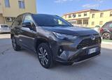 Toyota RAV 4 2.5 hv AWD - Toyota: Awd