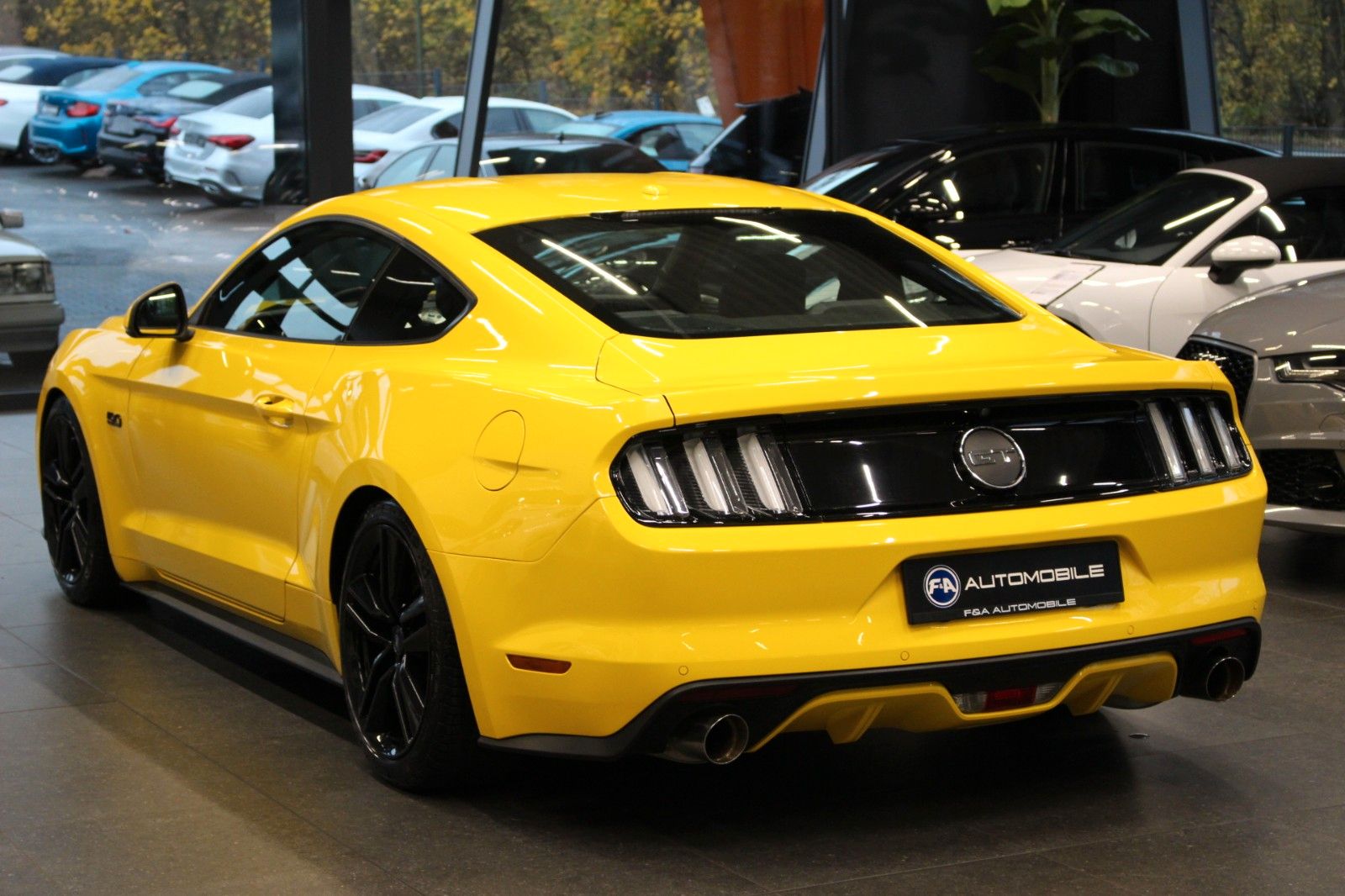 Fahrzeugabbildung Ford Mustang 5.0 V8 GT Performance-Paket+KW-Fahrwerk