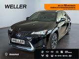 Lexus UX 250h Style Edition *Bi-LED*ACC*CAM*SHZ*CarPla - Lexus UX Gebrauchtwagen