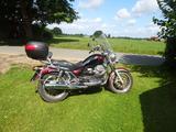 Moto Guzzi California 1100 EV - MOTO GUZZI CALIFORNIA EV