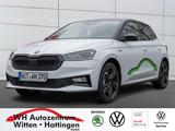 Skoda Fabia 1,5 TSI DSG Monte Carlo NAVI LED BLUETOOTH - Skoda Fabia Gebrauchtwagen in Kassel