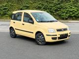 Fiat Panda 1.2 8V Dynamic CityServo-Zentral-TÜV NEU - Fiat Panda Gebrauchtwagen in Düsseldorf