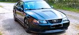 Ford Mustang Blickfang Unikat - gebrauchte Ford Mustang aus dem Jahr 2000