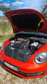 Volkswagen Beetle 1.2 TSI BMT CLUB CLUB - Volkswagen Beetle CLUB mit Benzin-Antrieb