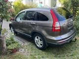 Honda CR-V 2.0 Comfort 50 Jahre Edition Comfort 50... - Honda CR-V Comfort mit Benzin-Antrieb