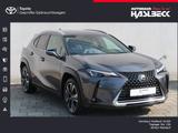 Lexus UX 250h Style Edition - Lexus UX aus 2023
