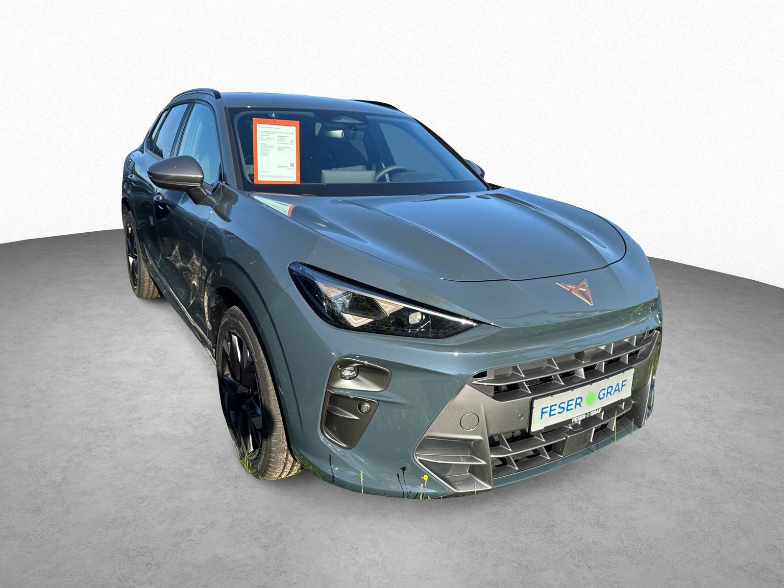 Cupra Terramar - Bild 3