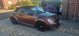 Volkswagen Beetle 1.2 TSI BMT Cabriolet -erst 20000 km