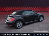 Volkswagen Beetle Cabriolet 1.2 TSI BMT Connectivity-Paket - Autos in Bonn: Co