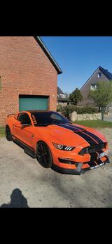Ford Mustang 5.0 Ti-VCT V8 GT GT - Ford Mustang in Lübeck