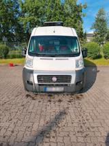 Fiat Ducato Multijet 130 Kühlwagen mit Car... - Fiat Ducato Gebrauchtwagen in Bremen