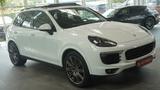 Porsche Cayenne Diesel Platinum Edition*PANO*AHK*BOSE* - gebrauchte Porsche Cayenne aus dem Jahr 2018