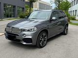 BMW X5 xDrive40d M-Sportpaket Panoramadach 360, ACC - BMW X5: Panoramadach