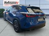 Lexus NX 350h Executive Line - Lexus aus 2024: Nx