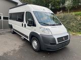 Fiat Westfalia Amundsen Maxi  - Fiat Maxi