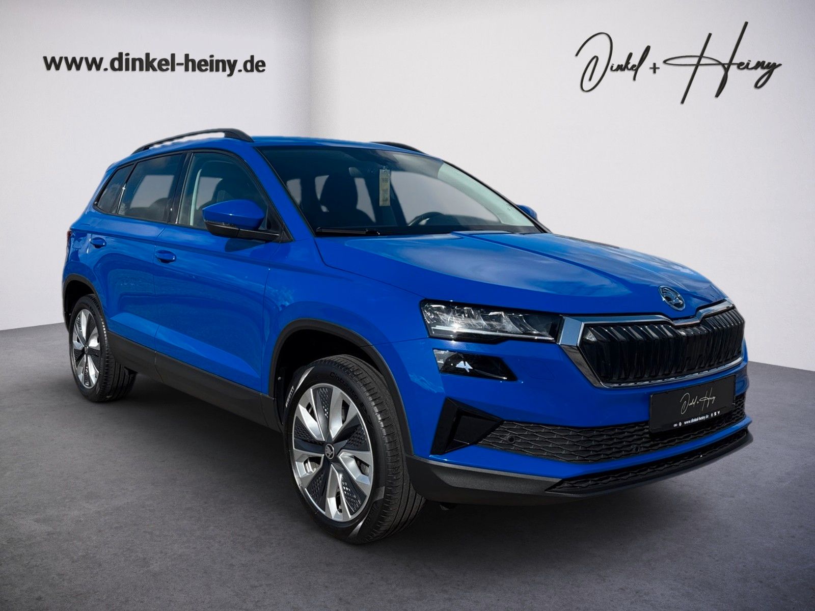Fahrzeugabbildung SKODA Karoq 2.0l TDI DSG 4x4 STYLE