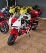 Honda CBR600RR | Inspektion + neue Reifen | - HONDA ABS CBR 600 RR