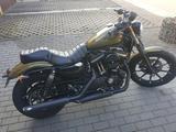 Harley-Davidson Sportster XL  883N  Iron - Offers matching your search criteria