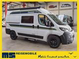 Chausson V594S FIRST LINE  / MODELL 2026 / NUR 5.41M. - Offers