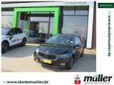 Skoda Fabia  "All in"- Sondermodell - Skoda Fabia: Sondermodell